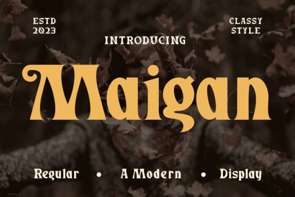 Maigan Display Typeface Review: Elevating Digital Brand Identity