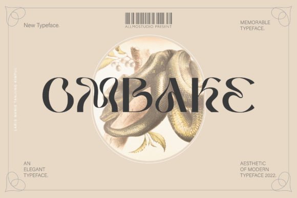 Ombake Typeface Review: Elevating Social Media Campaigns with Curvy Appeal