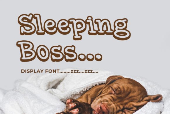 Sleeping Boss: The Minimalist Display Font for Polished Brand Identity