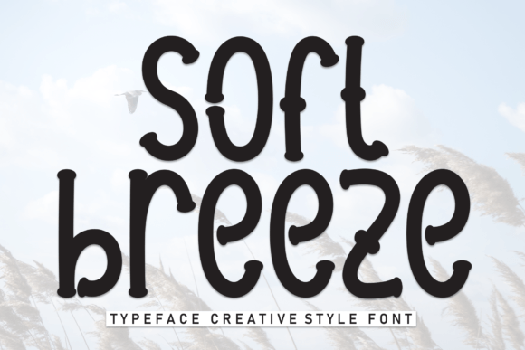 Soft Breeze: The Display Font That Brings Warmth to Campaign Visuals